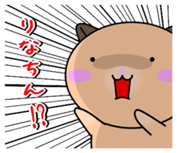 255832678