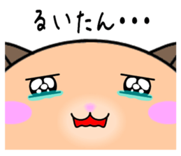 255843623