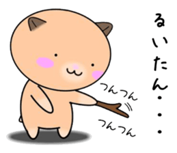 255843630