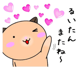 255843637