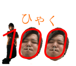 255851575