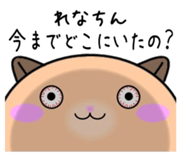 255887965