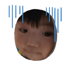 255912881