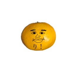 255914159