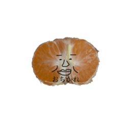 255914161