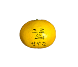255914164
