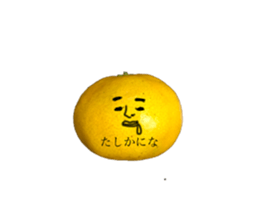 255914166