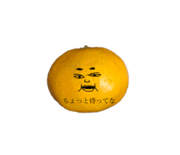 255914170