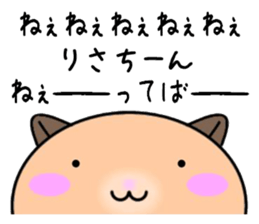 255962138