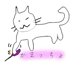 2559716