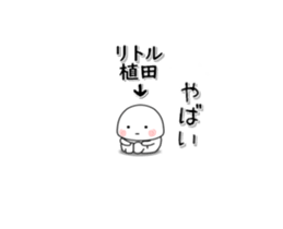 255990414