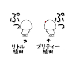 255990434