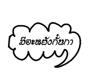 25606018