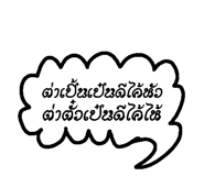 25606020