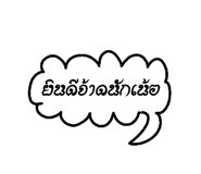 25606024
