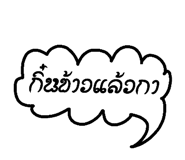 25606028