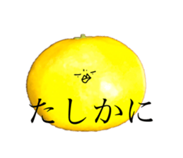 256066276