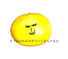 256066277