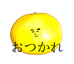 256066278