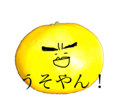 256066282