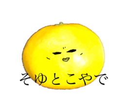 256066285