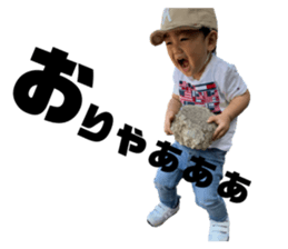256201473