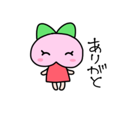 256204744