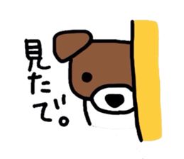 2562172