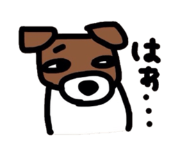 2562196