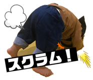 256380048