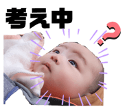 256380056
