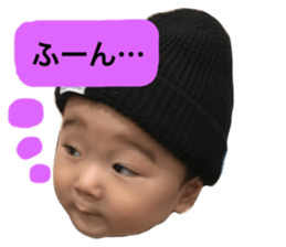 25643648