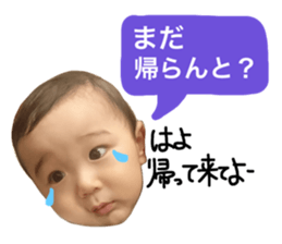 25643658