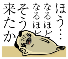25650069