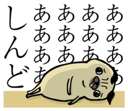 25650070