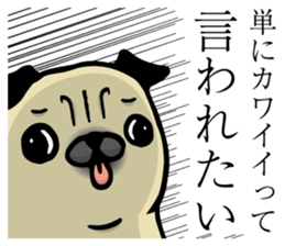 25650077