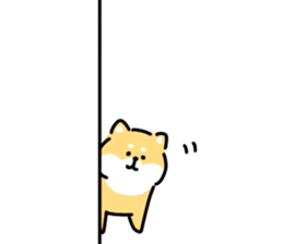 25655316