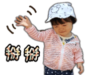 25664380