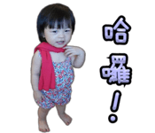 25664398