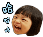 25664404