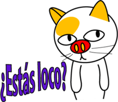 2566846