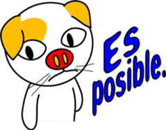 2566847