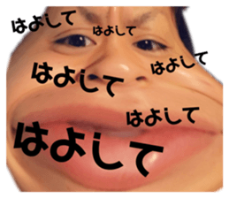 256692955