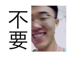 256718801