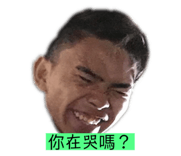 256739526