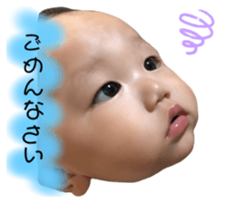 256757527