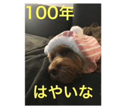 256764379