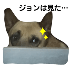 256776541