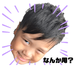 256796659
