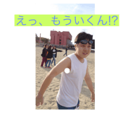 256801013